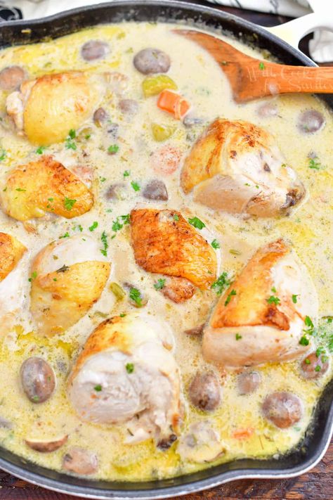 Chicken fricassee is a classic dish that combines the best that French cuisine has to offer. There are notes of butter, cream, and white wine, which are some of the most classic flavors in French cooking. This is a braised chicken recipe but stewed in a rich cream sauce along with vegetables. #chicken #dinner #creamy #sauce #French #stew #wine French Chicken Rissoles, Bill Knapps Chicken Fricassee, Turkey Fricassee Recipe, 1pan Meals, Chicken Fricasse Recipe, French Chicken Stew, French Stew, School Dinner Recipes, French Chicken Recipes