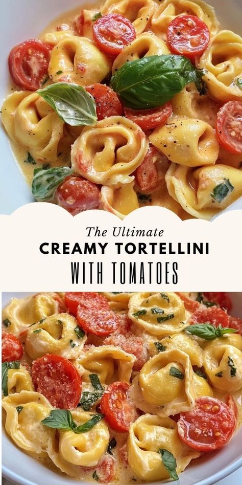 Creamy Tortellini with Tomatoes – A Comforting Italian-Inspired Dish Ingredients: 2 teaspoons olive or avocado oil 1 shallot, diced 2 garlic cloves, minced 2 cups cherry or grape tomatoes 1/2 cup roasted red peppers, chopped 1 tablespoon tomato paste 1/2 teaspoon salt #Tomatoes #Recipe Cherry Tomatoes Recipes Pasta, Pasta With Grape Tomatoes, Grape Tomato Recipes, Creamy Tomato Tortellini, Roasted Tomato Recipes, Tomato Tortellini, Creamy Tortellini, Tomato Pasta Recipe, Cherry Tomato Recipes