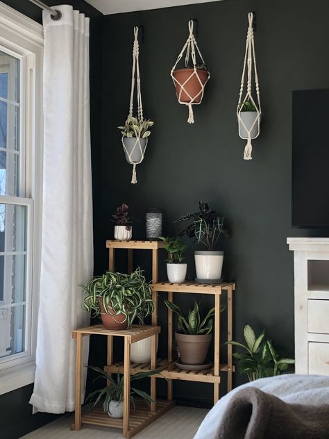 Loving my new corner! Sherwin Williams Shade-Grown paint color. Moody Paint Colors, Boho Paint Colors, Moody Paint, Dark Paint Colors, Dark And Moody, Diy Home Decor Ideas, Room Paint Colors, Bedroom Paint Colors, Paint Colors For Living Room