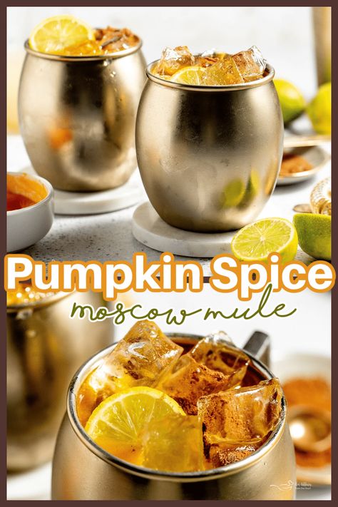 If you’re looking for the perfect fall cocktail, look no further! This Pumpkin Spice Moscow Mule captures the true essence of autumn with pumpkin puree and pumpkin spice making it one of the best fall drinks. Pumpkin Spice Moscow Mule Recipe, Pumpkin Spice Mule, Pumpkin Moscow Mule, Pumpkin Mule Recipe, Pumpkin Spice Cocktail Recipes, Fall Mule Cocktail, Pumpkin Spice Drinks Alcohol, Pumpkin Mule, Best Fall Drinks