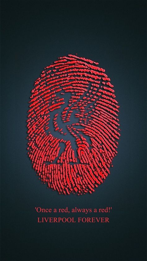 Liverpool Fc Tattoo, Liverpool Football Club Players, Lfc Logo, Lfc Wallpaper, Liverpool Fc Logo, Liverpool Tattoo, Camisa Liverpool, Liverpool Football Club Wallpapers, Liverpool Logo