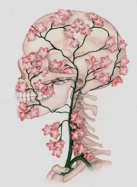 Skull with flower veins Anatomical Art, Skulls And Bones, Medical Art, Skull Drawing, Flower Skull, Art Et Illustration, Sugar Skulls, Skeletal, Anatomy Art