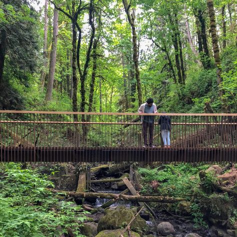 Forest Park Bridges, Portland, Oregon by Fieldwork Design & Architecture Small Bridge Design, Forest Park Design, Kinbane Castle, Timber Bridge, Forest Bridge, Gabion Walls, Landscape Bridge, Bridges Architecture, Bridge House