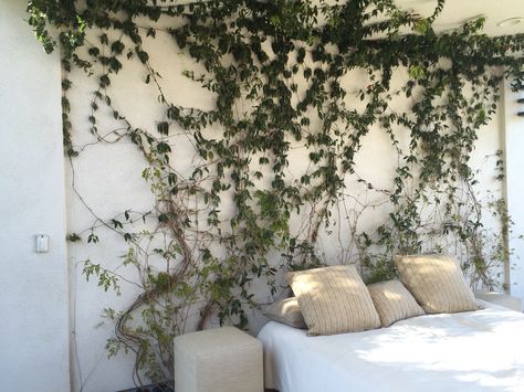 Vines Behind Bed, Fairy Garden Bedroom, Twine Diy, Vine Wall, Plants Decor, Garden Bedroom, Dark Wall, House Plants Decor, Wall Installation