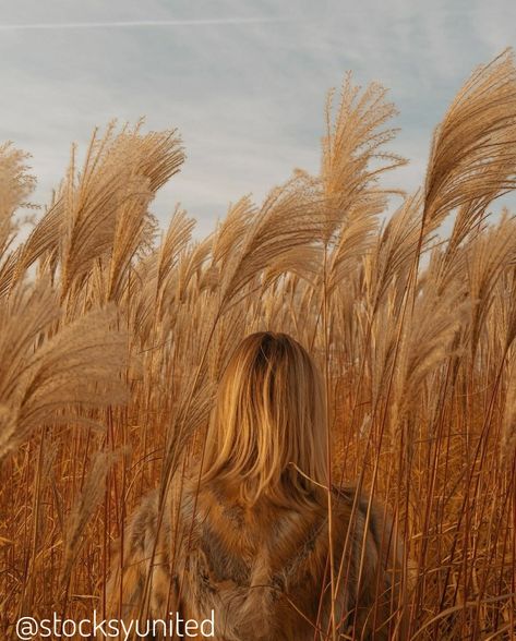 Pampas Grass Field, Tall Grass Aesthetic, Tall Grass Photoshoot, Tall Grass Field, Girl In Field, Nature Shoot, Grass Photography, Outdoor Portrait, Fashion Model Poses