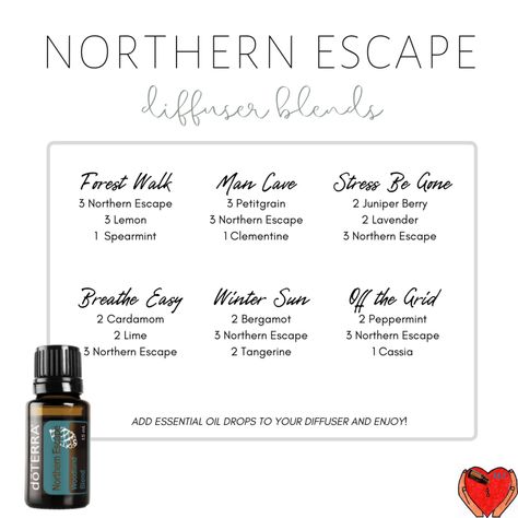 Doterra Northern Escape, Cassia Essential Oil, Doterra Diffuser, Doterra Diffuser Blends, Essential Oil Education, Diy Essential Oil Recipes, Doterra Essential Oils Recipes, Essential Oil Diffuser Recipes, Oil Diffuser Recipes