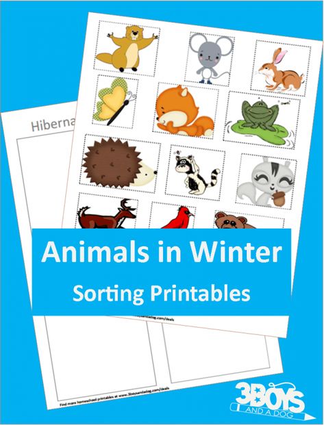 Animals in Winter: Hibernating Books, Printables, & Activities for Preschool Kids! Preschool Activities Science, Winter Animals Preschool Activities, Preschool Hibernation, Hibernation Preschool Activities, Animals Preschool Activities, Winter Animals Preschool, Hibernation Activities, Hibernation Preschool, Animals That Hibernate