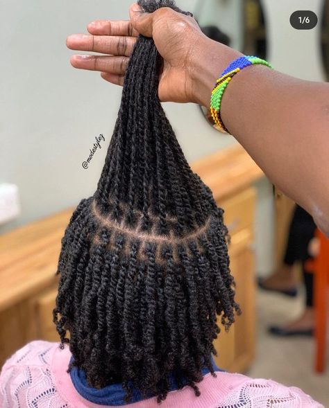 Small Natural Twists, Medium Sized Twists, Mini Twist Starter Locs, Parts For Mini Twist, Medium Coil Starter Locs, Comb Coils Vs Two Strand Twist Locs, Two Strand Twist Vs Coil Starter Locs, Micro Twists Natural Hair, Mini Twists Natural Hair