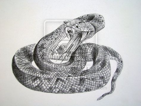 rattlesnake by dragonwolfmoon on deviantART Rattle Snake Tattoo, Snake Drawings, Rattlesnake Tattoo, Bandana Tattoo, Texas Rattlesnake, Snake Heads, Inktober Ideas, Anubis Tattoo, Rattle Snake