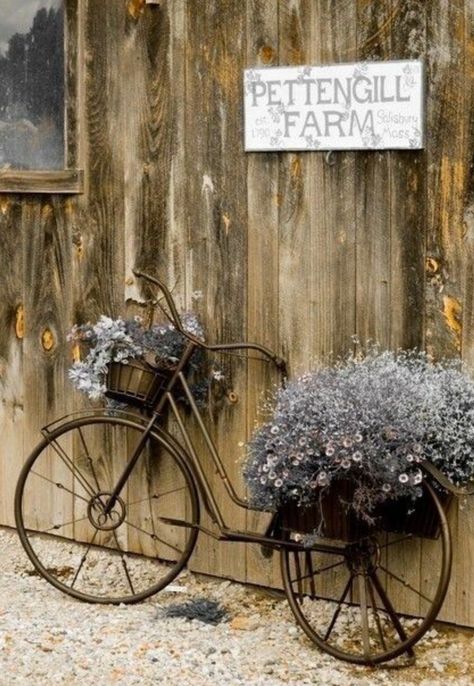 Bike With Flowers, Bicycle With Flowers, Bike Planter, Bronze Paint, Landscaping Layout, Landscaping Diy, Bicycle Decor, Old Bicycle, Bicycle Art