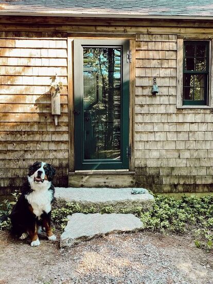 Cedar Siding Exterior, Essex Green, Cedar Shingle Siding, Cedar Shake Siding, Shake Shingle, Shake Siding, Cedar Shake, Cedar Shakes, Maine Cottage