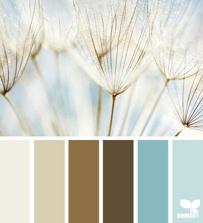 Soft earth tones Color Palate, Design Seeds, Colour Board, Paint Schemes, Bedroom Colors, Colour Schemes, Color Pallets, Room Colors, Color Themes