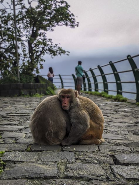 Malshej Ghat, Mobile Photography, Photography