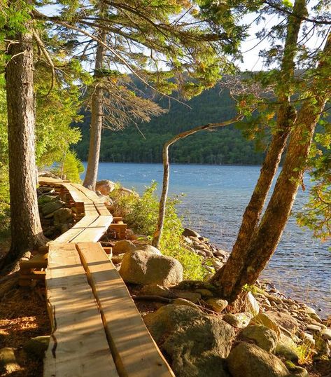 Northeast Harbor Maine, Maine Acadia National Park, Jordan Pond Acadia, Hiking Acadia National Park, Acadia National Park Summer, Acadia Aesthetic, Acadia National Park Aesthetic, Maine Summer Aesthetic, Maine Aesthetic Summer