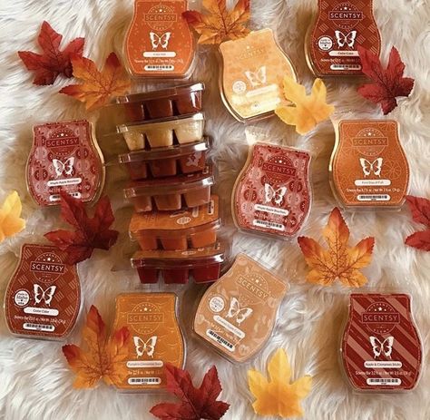 It’s September 1st!!! 🤯 You know what that means—time for ALL the pumpkin and apple everything!! 🎃🍎🎃🍏 Who’s as pumped as I am?! 🙋🏼‍♀️ Our Harvest Collection and Fall/Winter Catalog drop TODAY! 🍂 Get your fall vibes on and shop the website now! Scentsy September 2023, Fall 2023 Scentsy, Scentsy Fall Winter 2023 Scents, Fall Scentsy Banner, Scentsy Fall Winter 2023/2024, Scentsy Fall Winter 2023, Scentsy Fall, Scentsy Candles, Scentsy Ideas