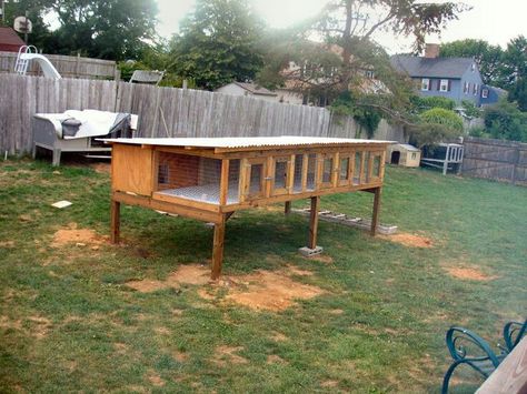 Beagles Pen Design Ideas, Farm Essentials, Rabbit Cages Outdoor, Rabbit Breeding, Giant Rabbits, Quail House, Rabbit Hutch Plans, Kennel Ideas Outdoor, Raising Rabbits For Meat