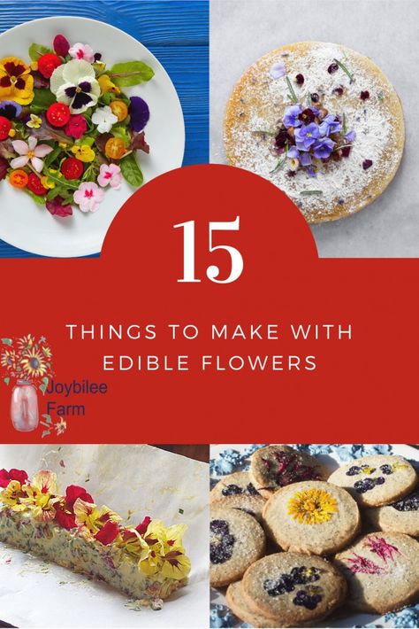 Use edible flowers 15 ways to raise your cooking to gourmet levels and take advantage of the increased antioxidants and nutrition flowers bring. Medical Garden, Cranberry Orange Relish, Flowers Feed, Mead Recipe, Cooking With Herbs, Edible Flowers Recipes, Herbal Academy, Harvesting Herbs, Charlotte Mason Homeschool