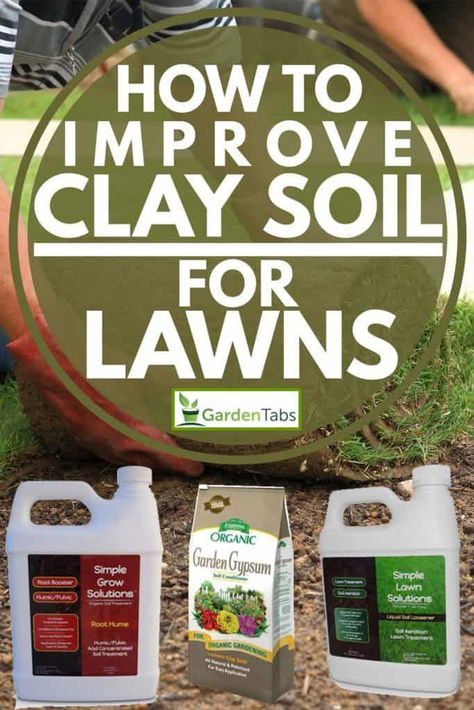 Amending Clay Soil, Landscape Diy, Grow Garden, Aerate Lawn, Lawn Care Tips, Sustainable Gardening, Survival Gardening, Garden Help, Home Landscape