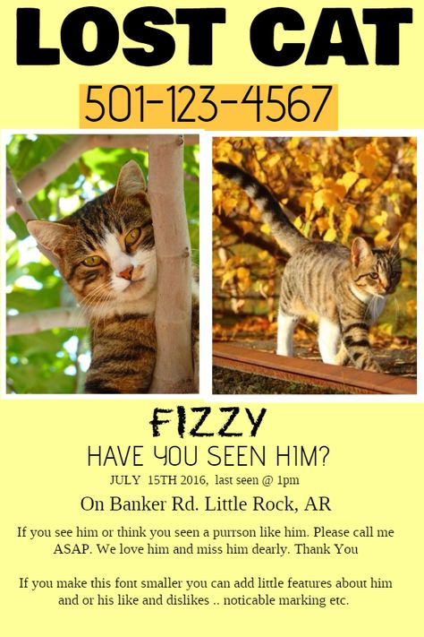 Lost pet flyer template Lost Cat Poster, Missing Cat Poster, Dog Walking Flyer, Dog Template, Free Social Media Templates, Cat Template, Realtor Social Media, Address Signs, Cat Poster