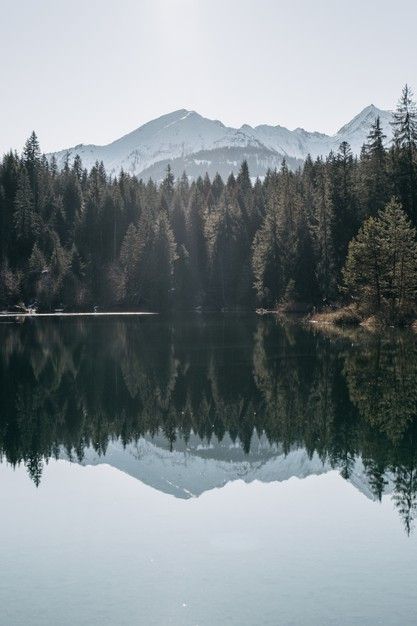 Lake surrounded by mountains and forests... | Free Photo #Freepik #freephoto #tree Lake In Mountains, Mountain Lake Aesthetic, Mountain Forest Aesthetic, Forest Lake Aesthetic, Lake In A Forest, Mountains With Lake, Forest Lake Painting, Forest With Mountains, Forest Mountain Landscape