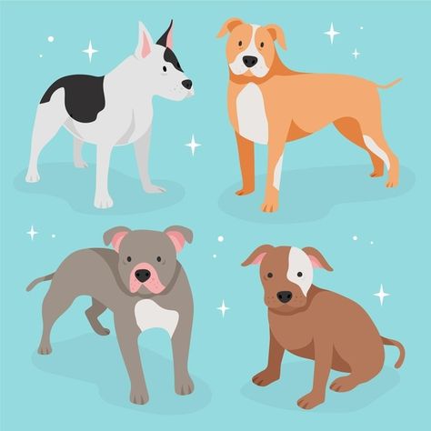 Flat design pitbull pack | Free Vector #Freepik #freevector #dog #animals #illustrations #flat-design Pitbull Illustration, Exploded Diagram, Pet Food Packaging, Dog Design Art, Icon Game, Cartoon Dogs, Pitbull Art, Pitt Bull, Dog Clipart