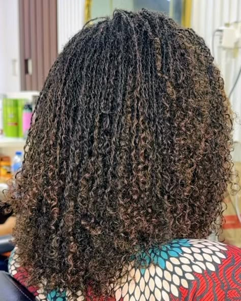 Sister Locs With Extension, Microtwist Extension, Ginger Microlocs, Micro Locs Curly Ends, Braidlocs Journey, Wig Styling Ideas, Natural Hair Maintenance, Hairstyle Wigs, Hair Muse