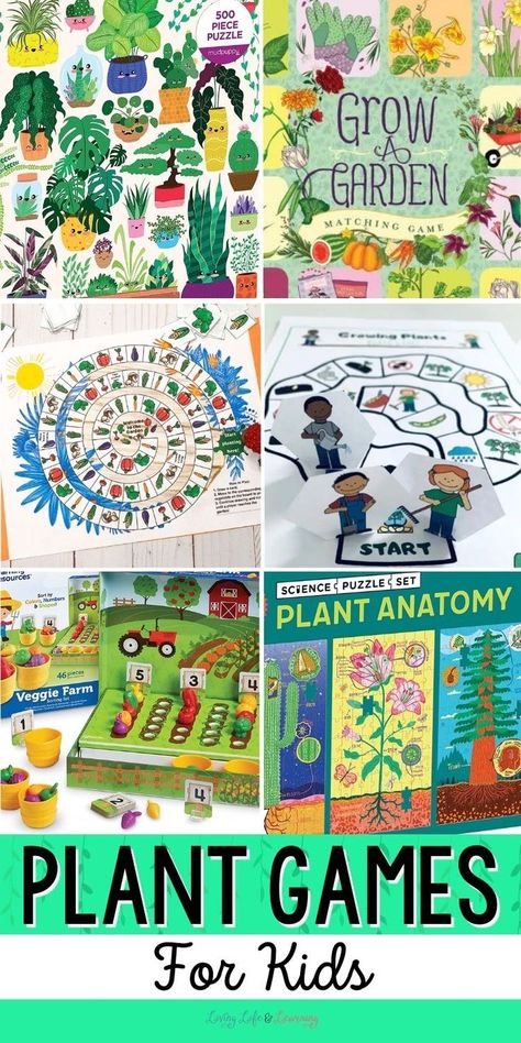 Plant Games for Kids Science Activities For Kindergarteners, Simple Science Activities, Kindergarten Science Curriculum, Kindergarten Science Experiments, Botany Lessons, Activities For Kindergarteners, Kindergarten Science Activities, Plant Lessons, Mom Crafts