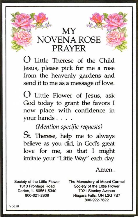 prayer Novenas Catholic, Novena Prayers, Special Prayers, Miracle Prayer, St Therese, Beautiful Prayers, Daily Prayers, Child Jesus, Prayer Board