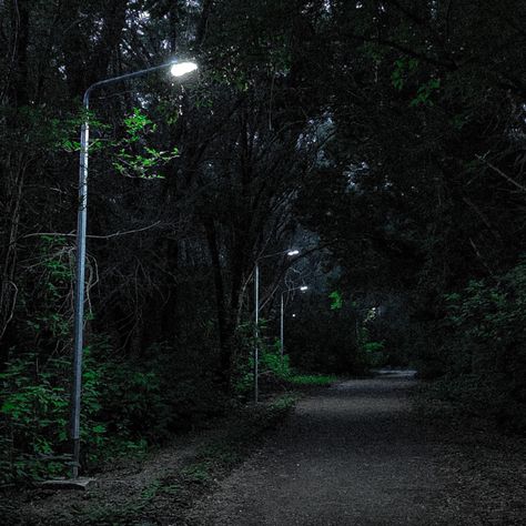 Dark Places Aesthetic, Dark Landscape Aesthetic, Dark Green Forest Aesthetic, Woods Night, Outside Photography, Outside Aesthetic, Forest At Night, Dark Naturalism, Dark Forest Aesthetic