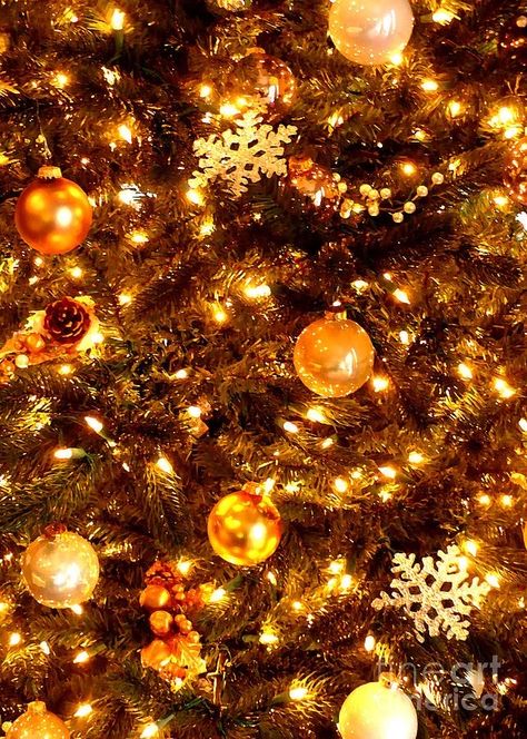 Yellow Christmas Aesthetic, Yellow Christmas Wallpaper, Orange Christmas Aesthetic, Gold Christmas Aesthetic, Golden Christmas Tree, Christmas Yellow, Christmas Aesthetics, Christmas Lights Wallpaper, Yellow Christmas