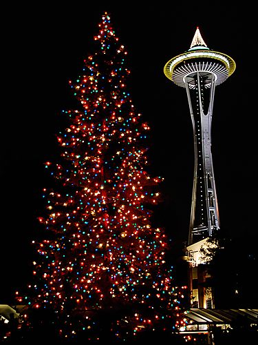 Space Needle @ Christmas time! Tell Me A Secret, Seattle Christmas, Seattle Winter, Christmas In America, Perspective Photos, Space Needle Seattle, Evergreen State, Washington Usa, Winter Light