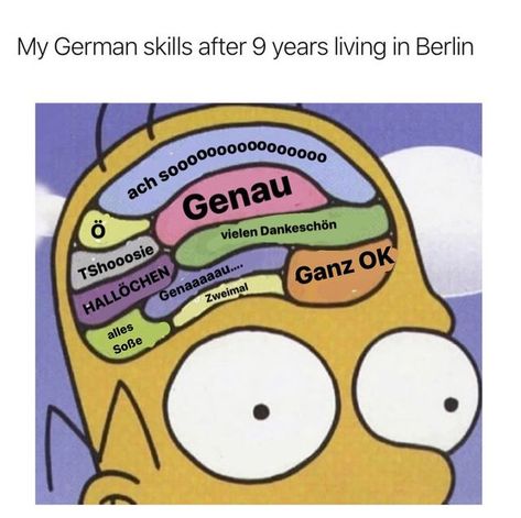 Berlin Ausländer Memes on Instagram: "Anzeige | Not learning fast enough? Go from beginner to B2 German in just 6 months with @language_and_motivation, an online language school with real teachers who give you individual support and a structured curriculum tailored to your needs. After 6 months you will be able to... ✅ handle everyday conversations confidently ✅ express your opinion ✅ handle daily work communication ✅ ace job interviews and phone conversations ✅ pass your B2 exam Learn more Work Communication, Grammar Humor, Funny Comebacks, Job Interviews, Learn Faster, Language School, Learn German, Funny Captions, Tumblr Quotes