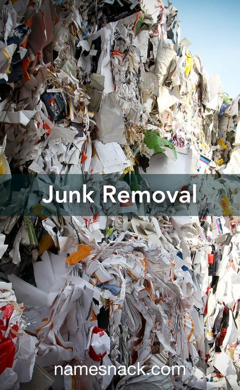 Junk Removal Business, Foreclosure Cleaning, Junk Hauling, Junk Removal Service, Dumpsters, Junk Removal, Removal Company, Creative Names, Funny Names