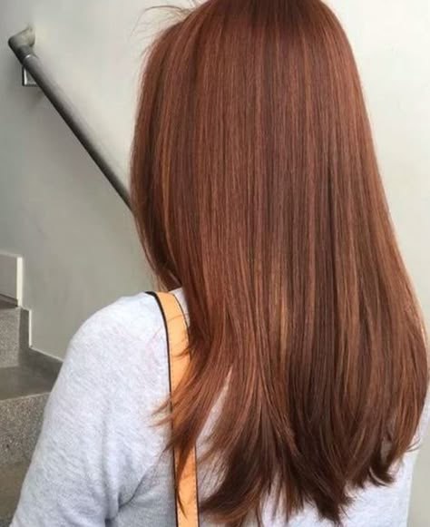 Copper Brown Hair, Dark Red Hair Color, Brown Ombre Hair, Red Hair Inspo, Ginger Hair Color, Red Brown Hair, Hair Color Auburn, Brown Hair Balayage, Hair Color Highlights