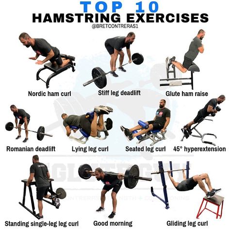 Bret "Glute Guy" Contreras PhD on Instagram: “Here are my top ten favorite hamstring exercises. Honorable mentions go to reverse hypers, kettlebell swings, stability ball leg curls, and…” Bret Contreras Workout, Anatomical Terminology, Workouts At Gym, Hamstring Workouts, Glute Guy, Hamstrings Workout, Training Split, Hamstring Exercises, Bret Contreras