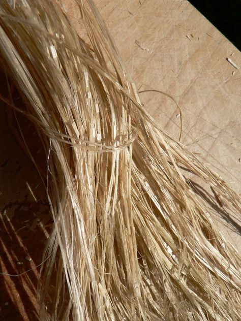 Flax Dressing Photos | Local Color Dyes Plant Installation, Flax Fiber, Local Color, Flax Plant, Insta Posts, Land Art, Yarn Crafts, Mood Board, Ribbon