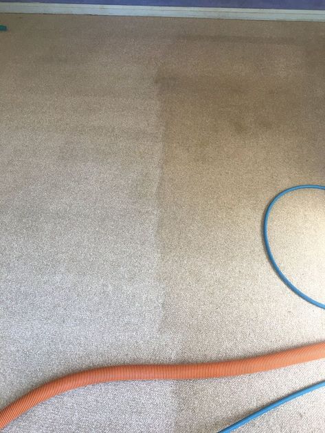 we offer residential as well as commercial cleaning service for heavily stained carpet that requires specialised industrial stain remover. Book for our services and get the best services at the most affordable prices. Carpet Cleaning Hacks, Cheap Carpet, Commercial Cleaning Services, Carpet Cleaning Service, Best Carpet, Commercial Cleaning, Carpet Cleaning, Cleaning Upholstery, Victoria Australia