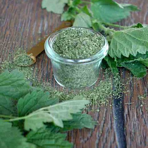 Superfood green nettle powder (and 10 ways to use it) Nettle Powder, Nettle Recipes, Strawberry Lavender, Jam Without Pectin, Lavender Jam, Fire Cider Recipe, Chocolate Extract, Fire Cider, Stinging Nettle