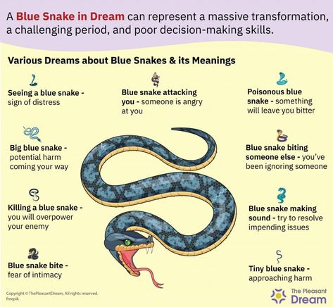 Snake Dream Meaning, Ignoring Someone, Blue Snake, Decision Making Skills, Health Heal, Dream Meanings, Emotional Health, Decision Making, Get Ready