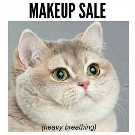 Beauty memes that sum up how we feel about makeup Heavy Breathing Cat, Funny Stories For Kids, Beauty Humor, Makeup Memes, Makeup Humor, Funny Memes About Girls, Funny Cat Memes, Cat Names, Funny Animal Pictures