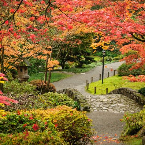 Washington Park Arboretum – Garden Review | Condé Nast Traveler Washington State Travel, Evergreen State, Washington Park, Conde Nast Traveler, Natural Scenery, Best Hikes, Seattle Washington, Zen Garden, Autumn Trees