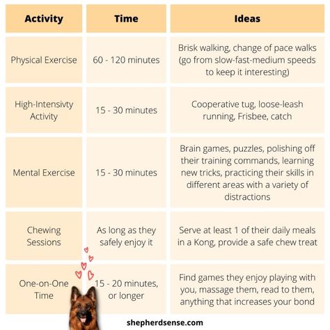 German Shepherd Puppy Essentials, German Shepherd Tips, Training German Shepherd Puppies, German Shepard Training, German Shepherd Toys, Training German Shepherd, Lacrosse Training, Gsd Training, German Shepherd Care