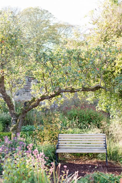 Orchard Garden, Wooden Garden Benches, Spring Garden Flowers, Wildlife Garden, British Flowers, Garden Benches, Wild Garden, Walled Garden, Wildlife Gardening