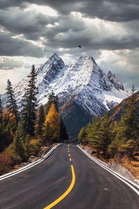 Mountain Road Tattoo, Mountain Landscape Photography, Free Wallpaper Backgrounds, World Most Beautiful Place, Road Photography, Beautiful Roads, Printed Circuit, Landscape Photography Nature, Peace And Tranquility