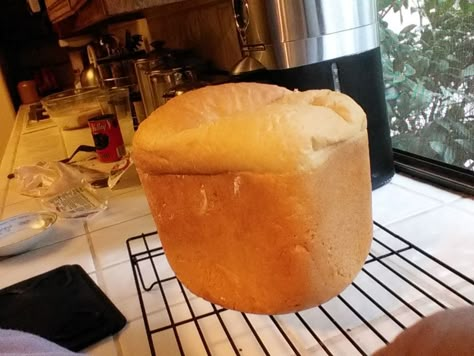 Cottage Cheese Bread Machine Bread Recipe Cottage Cheese Bread Machine, Cottage Cheese Bread Machine Recipe, Bread Machine Rye Bread, Bread Machine Rye, Corn Biscuits, Bread Machine Bread Recipes, Cottage Cheese Bread Recipe, Machine Bread Recipes, Bread Machine Recipes Healthy