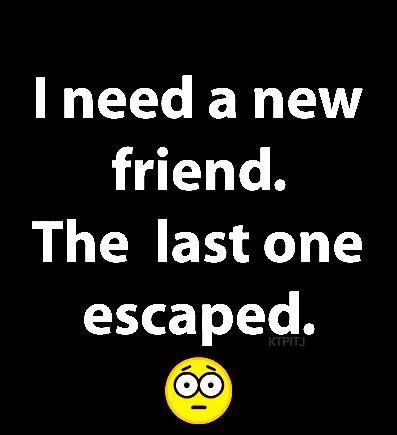 I need a new friend. The last one escaped funny quotes friend funny quotes humor funny pic Friend Funny Quotes, Quotes Friend, Funny Quotes Humor, Hood Quotes, African Quotes, Expression Quotes, Coffee Quotes Funny, Friend Funny, Funny Expressions