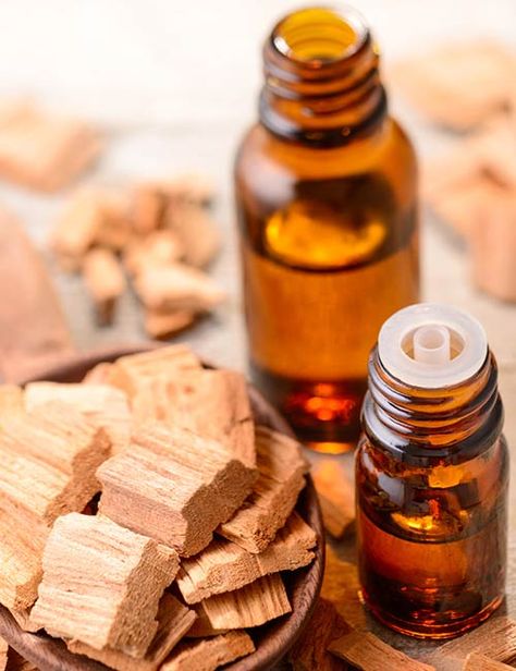 Sandalwood Essential Oil Sandalwood Aesthetic, Noah Walker, Natural Wrinkle Reducer, Myrtle Essential Oil, Sandalwood Perfume, Juniper Oil, Dark Elbows, Top Essential Oils, Cypress Oil