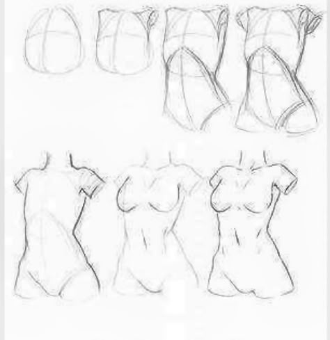 Female Body Types, Female Anatomy Reference, Body Sketches, Body Drawing Tutorial, Human Anatomy Art, Anatomy Sketches, Body Reference Drawing, Drawing Studies, Poses References