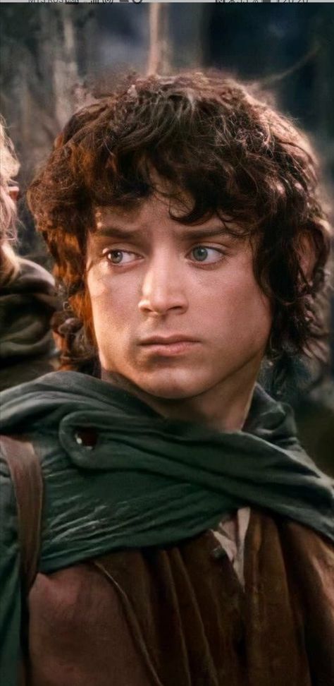 Lord Of The Rings Reference Photos, Frodo Lord Of The Rings, Frodo Baggins Wallpaper, Frodo Wallpaper, Frodo Fanart, Frodo Costume, Lotr Frodo, Lord Of The Rings Characters, Smaug Hobbit