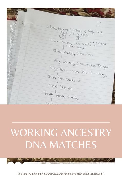 I've been working my Ancestry DNA matches - see my approach! #geneticgenealogy #genealogy #ancestryDNA Ancestry Dna Results, Dna Genealogy, Dna Results, Ancestry Dna, Drawing On Paper, Family Genealogy, Genealogy, Digital Products, Family Tree